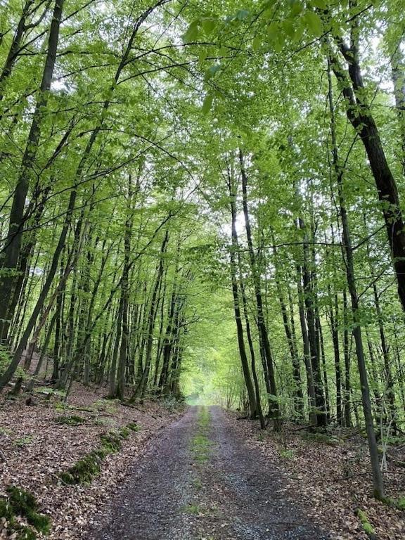 Ganze Ferienwohnung In Idyllischer Umgebung Werdohl Dış mekan fotoğraf